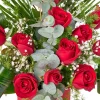 Velvet Red Roses - 3