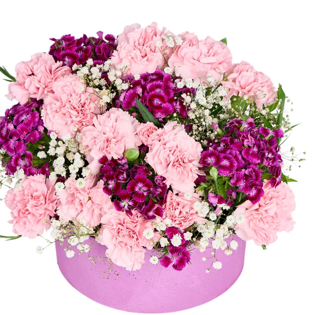 Fuchsia Berry Blend - 2