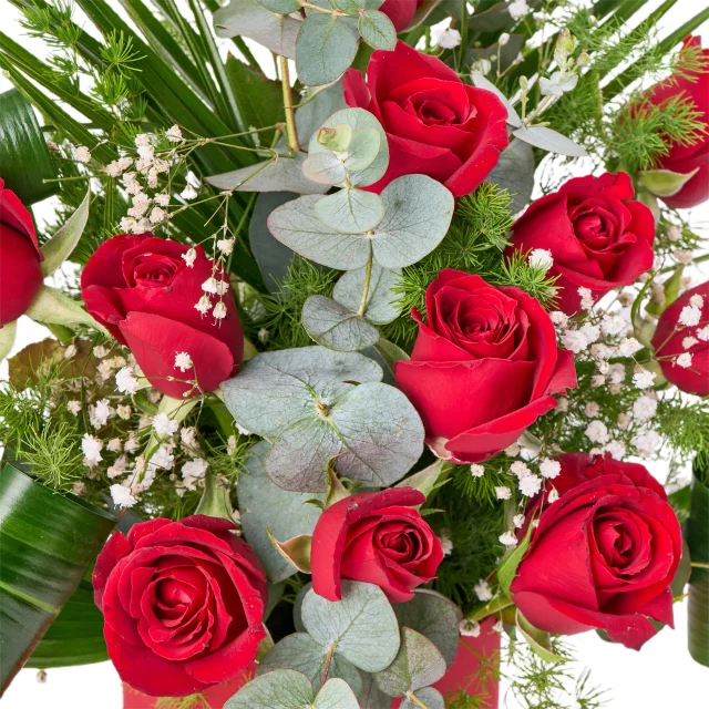 Velvet Red Roses - 3