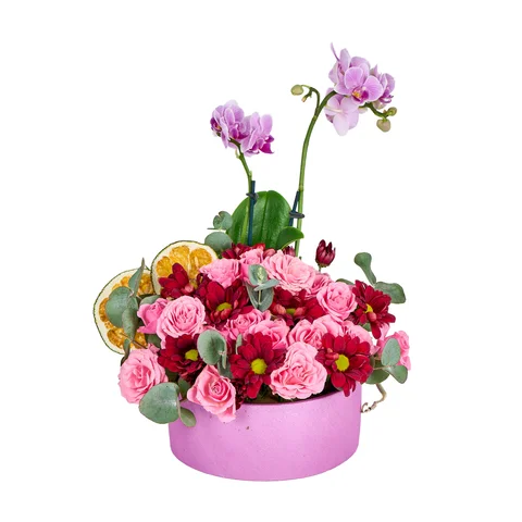 Lux Mini Mor Orkide Aranjmanı