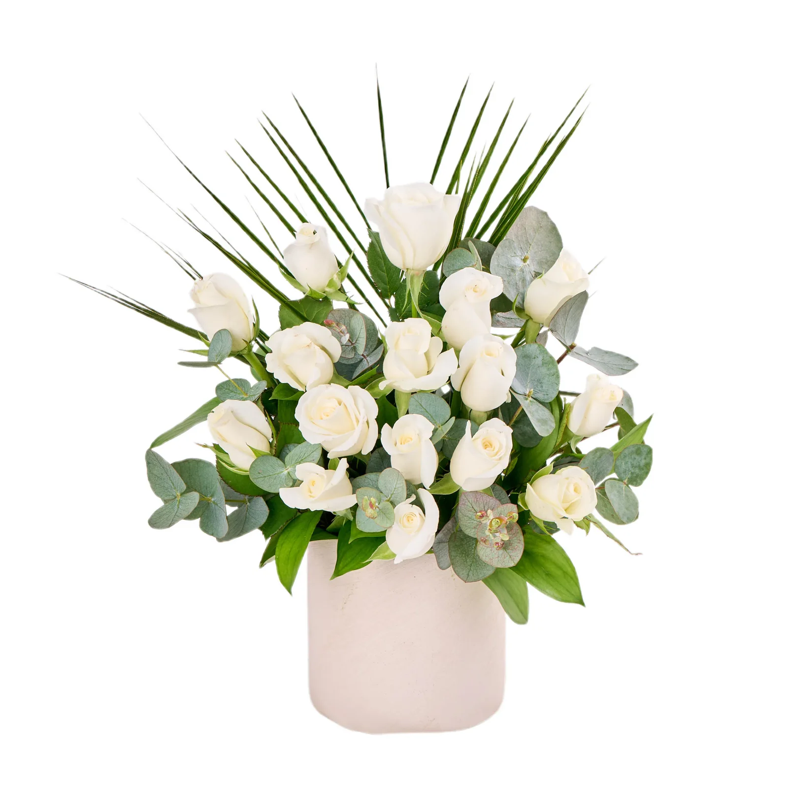 Pearl Roses