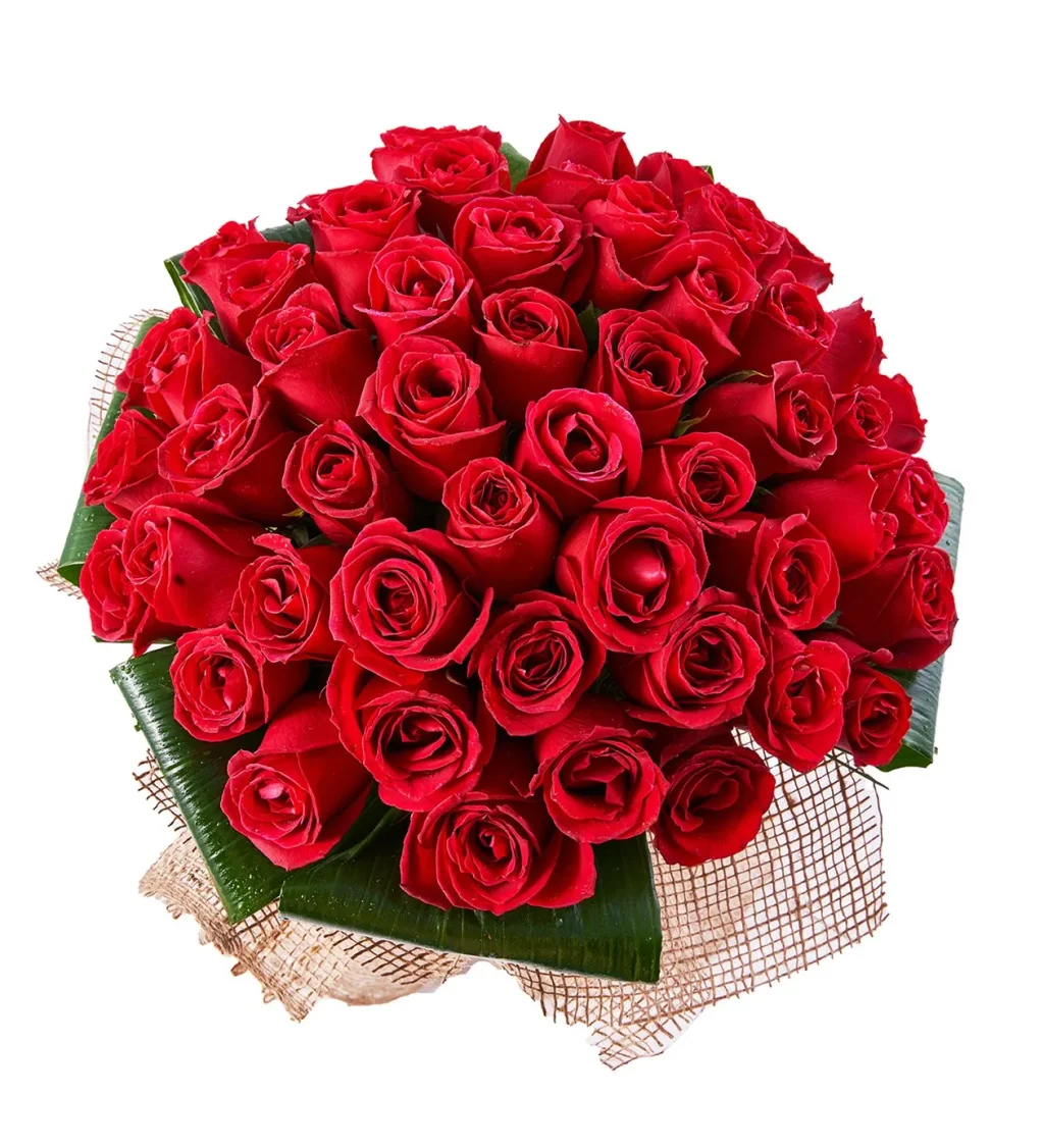 Premium 51 Kırmızı Gül - 5