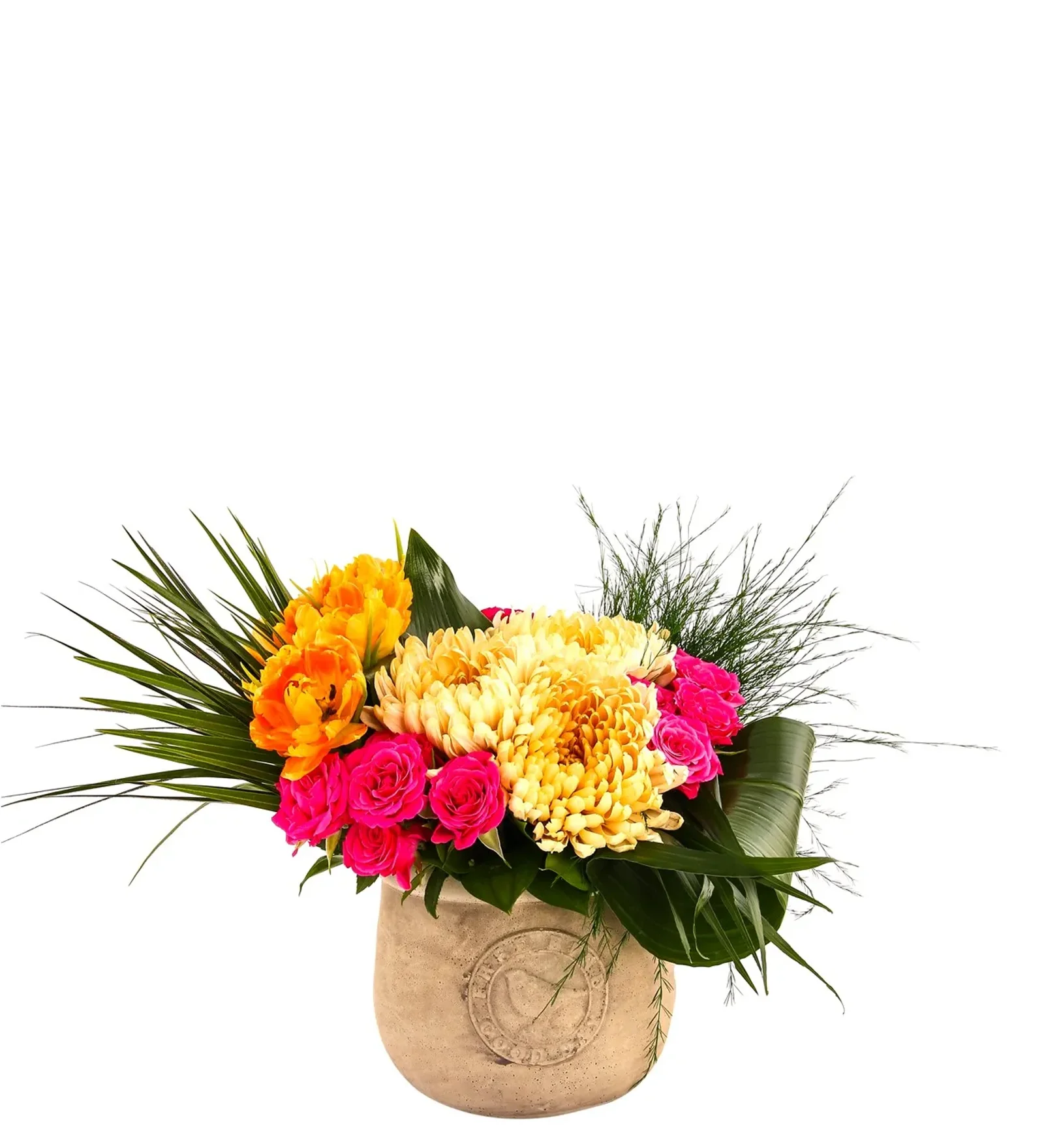 Big Fresh Colorful Gift