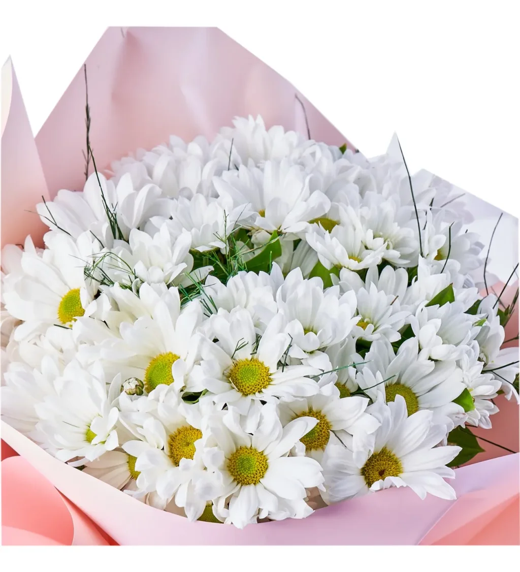 Beyaz Papatya Buketi - 3