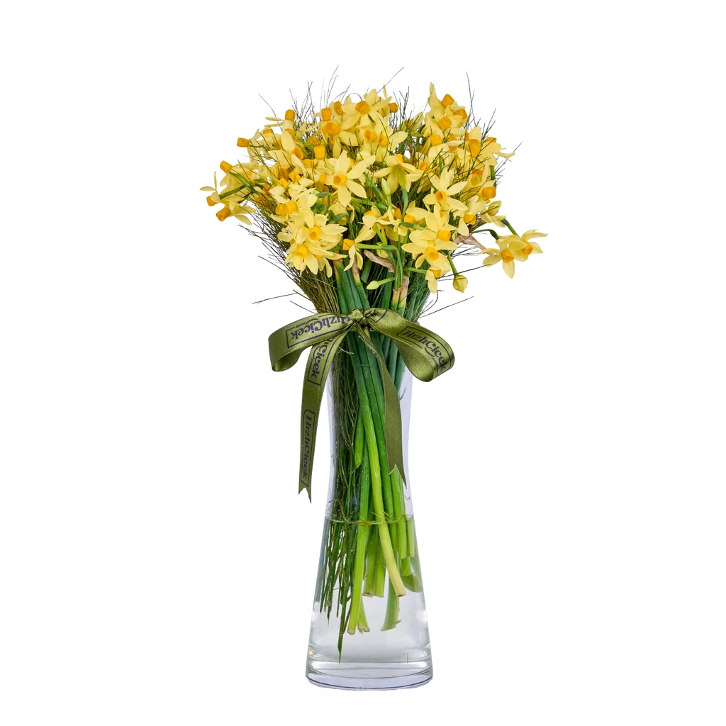 Vazoda Sarı Nergis
