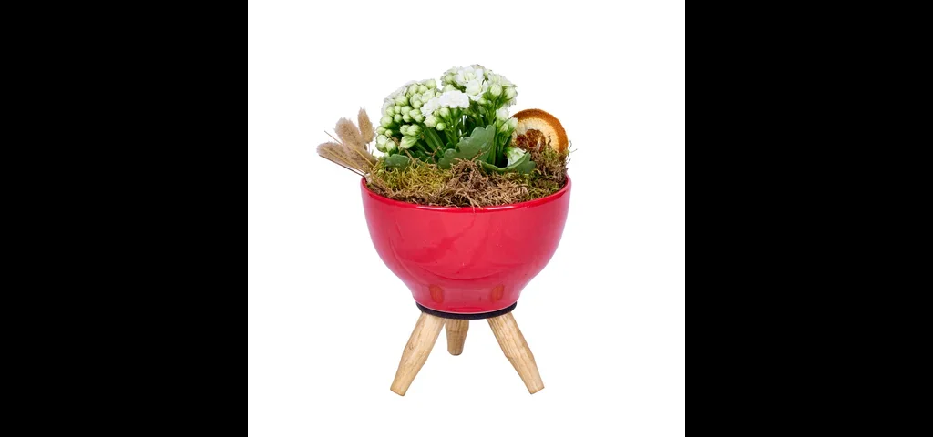 Vazoda Beyaz Kalanchoe