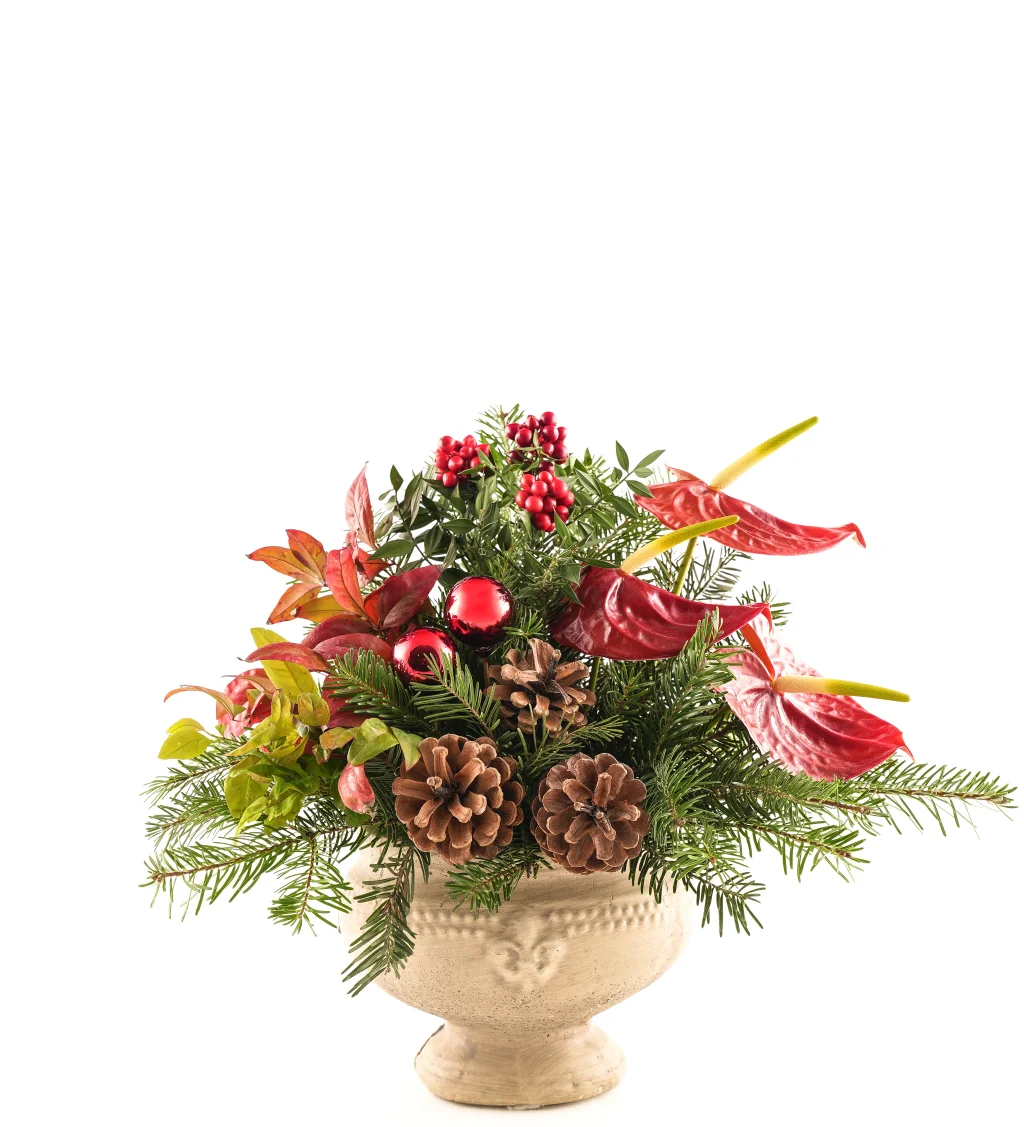 Magical Christmas Harmony