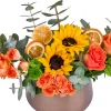 Fresh Sun Garden - 2