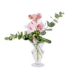 Orchid Elegance