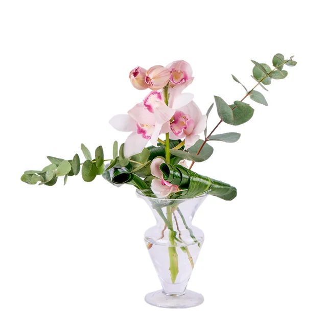 Orchid Elegance