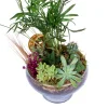 Botanical Haven - 2