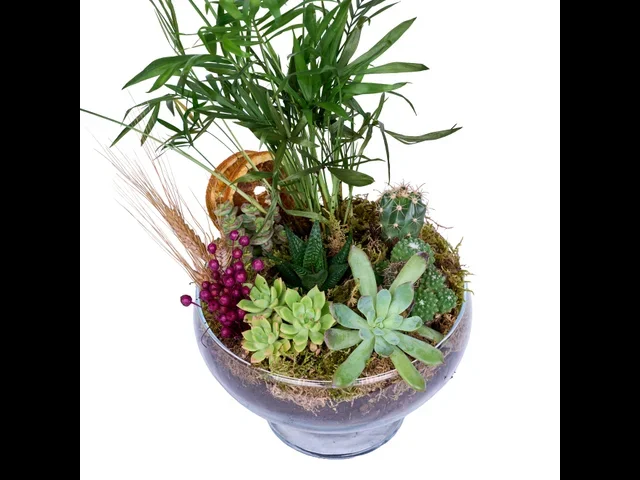Botanical Haven - 2
