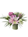 Bloomish Ortanca