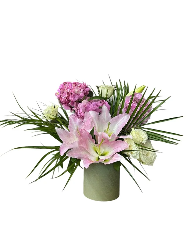 Bloomish Ortanca