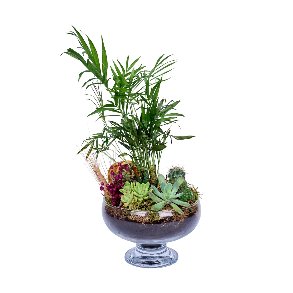 Botanical Haven