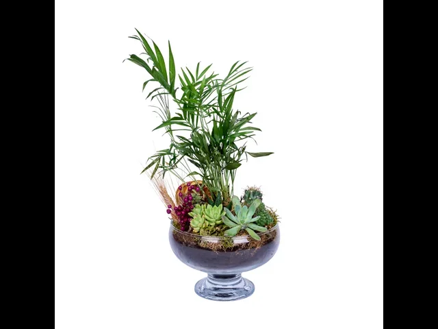 Botanical Haven