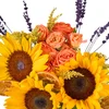 Sun Energy Box - 3