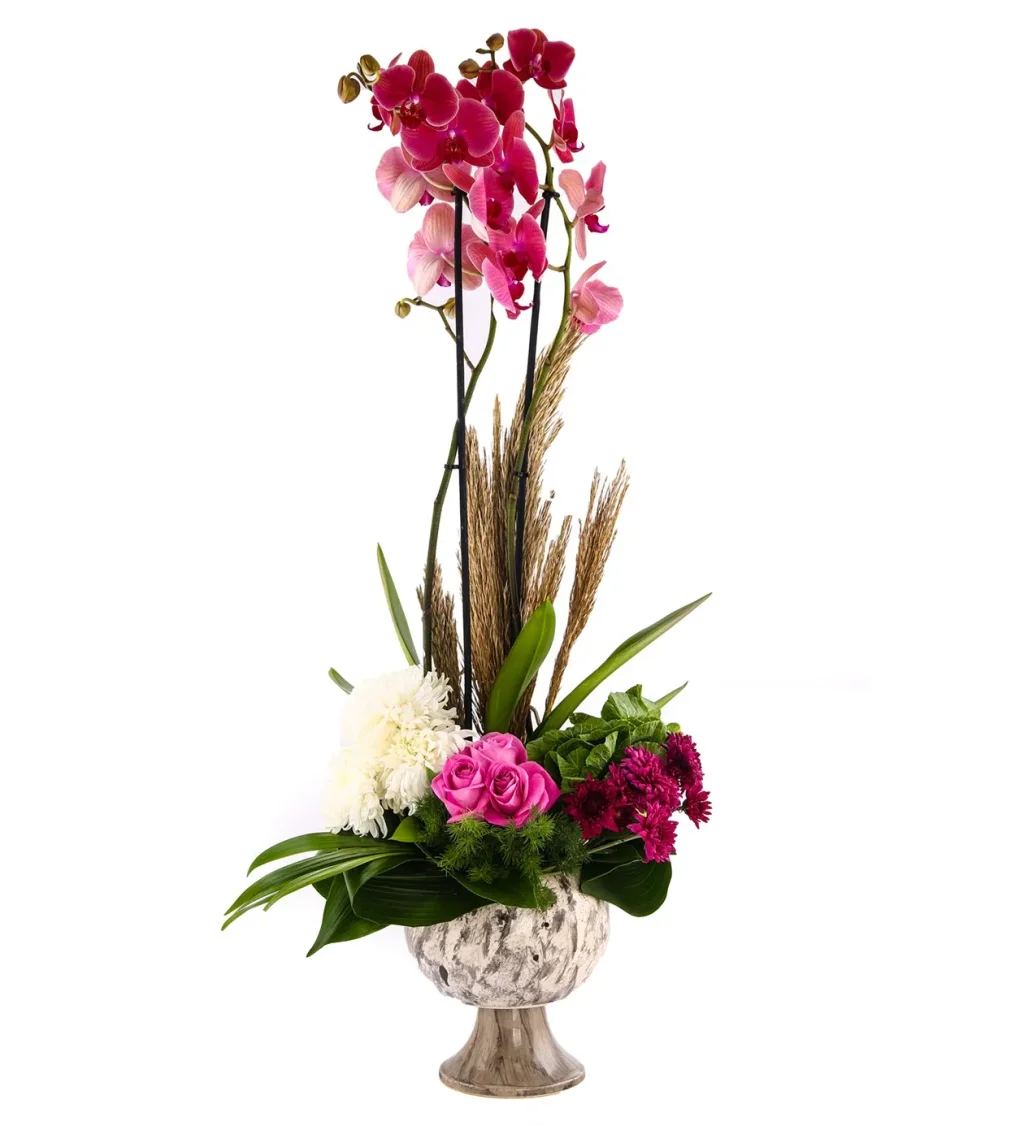 Good Vibes Double Orkide