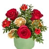 Red Winter Charm - 2