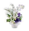 Premium Elegant Orkide