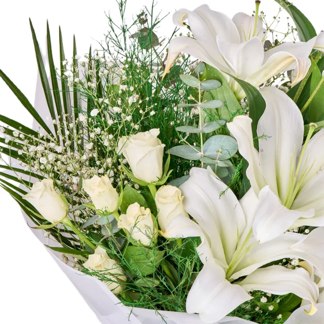 Pure White Elegance - 3