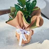 Zeze Çiçeği (Zamia Bitkisi) - 3