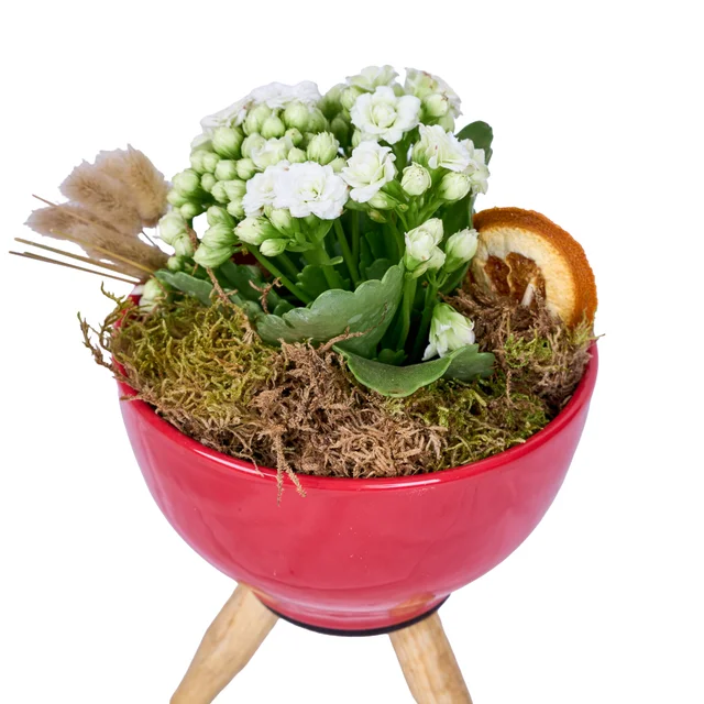 Vazoda Beyaz Kalanchoe - 3