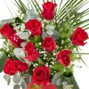 Velvet Red Roses - 2
