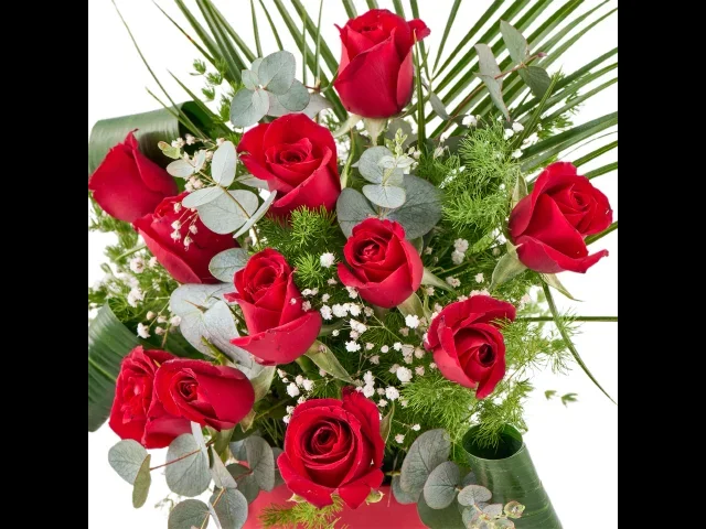 Velvet Red Roses - 2