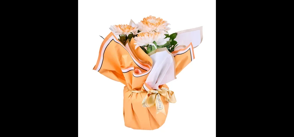 Saksıda Orange Kasımpatı