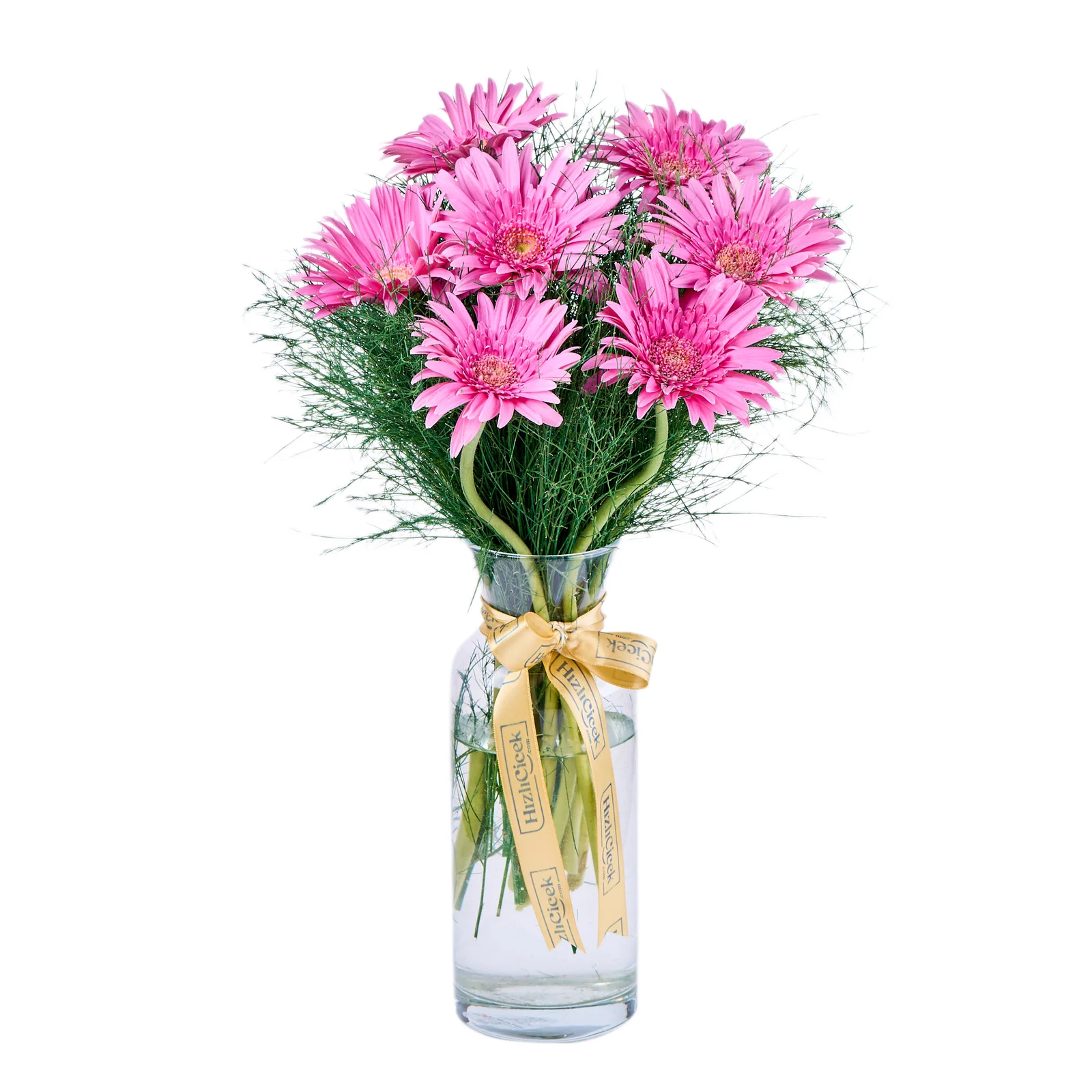 Vazoda Pembe Gerbera
