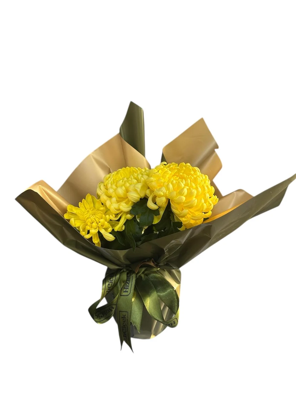 Saksıda Sarı Kasımpatı