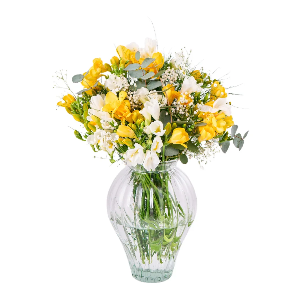 Vazoda Beyaz ve Sarı Frezya