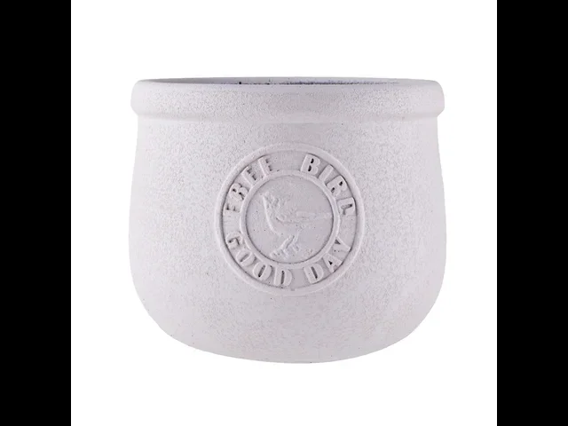 Antik Beton Saksı