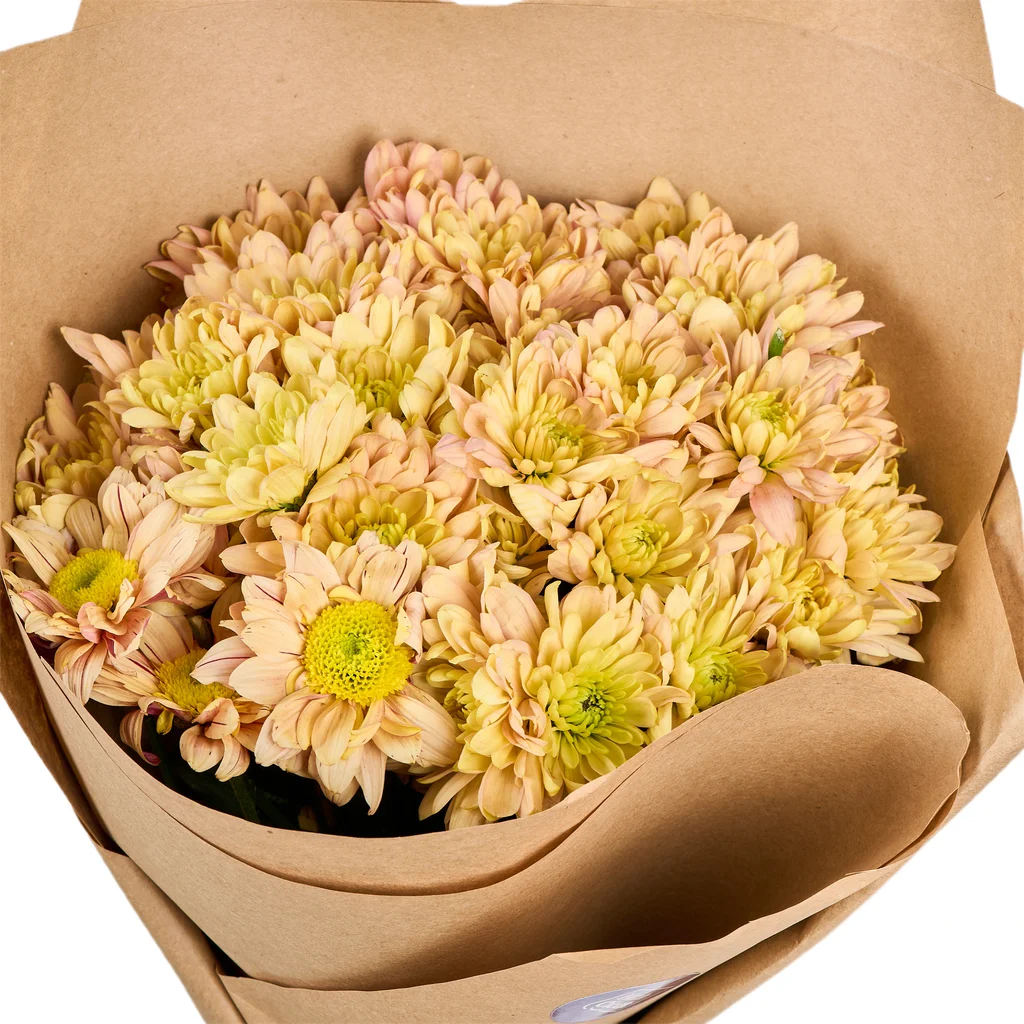 Somon Krizantem Buketi - 2
