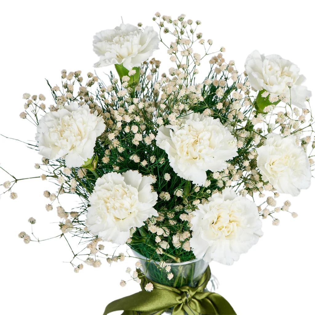 Vazoda Beyaz Karanfil - 3
