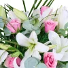 Lily & Rose Harmony - 2