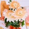 Saksıda Orange Kasımpatı - 3