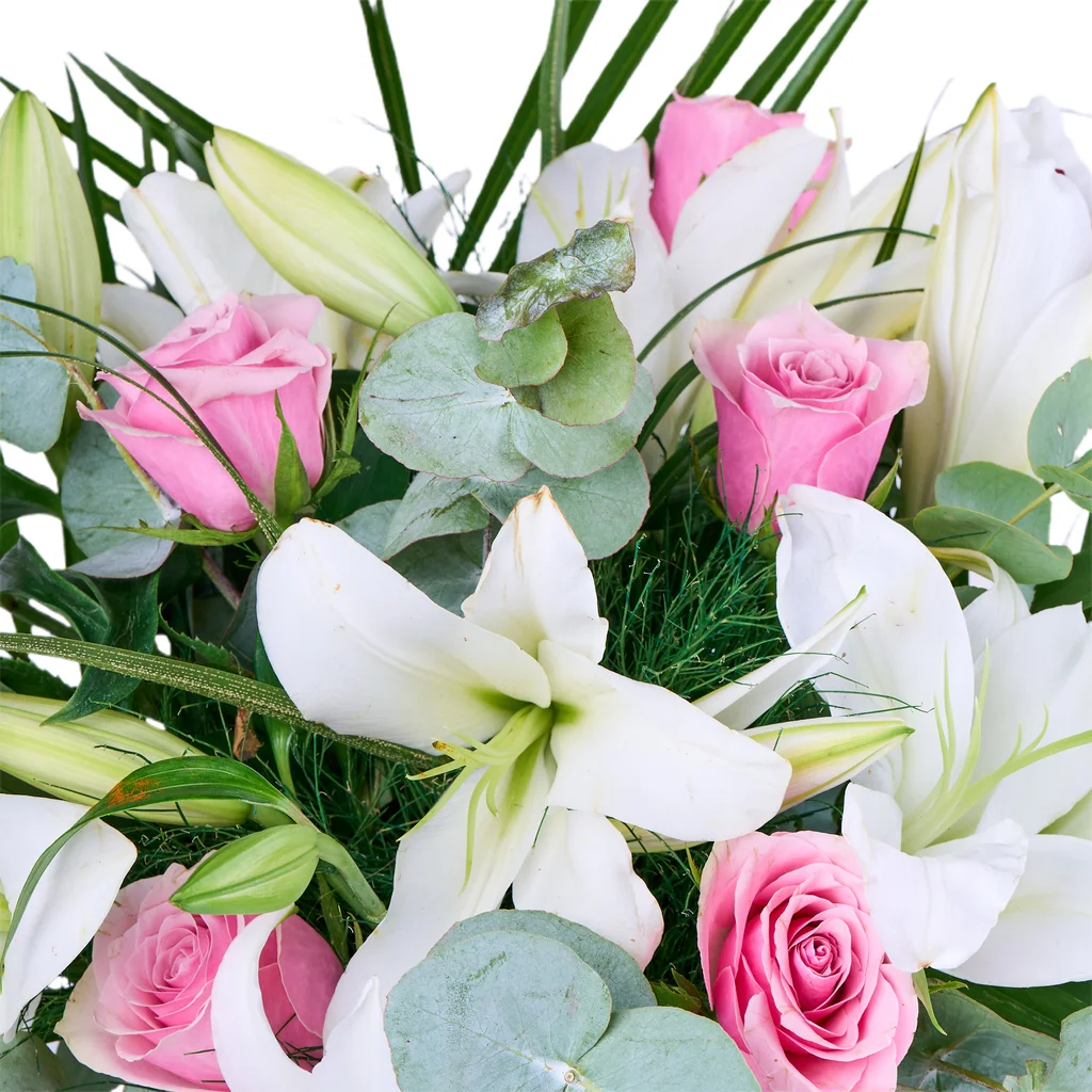 Lily & Rose Harmony - 3