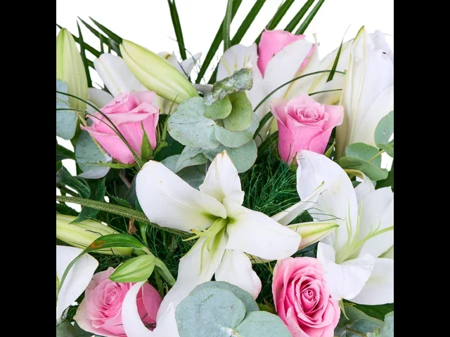 Lily & Rose Harmony - 2