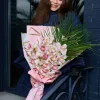 Cymbidium Dream - 3