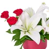 Scarlet Whisper - 2