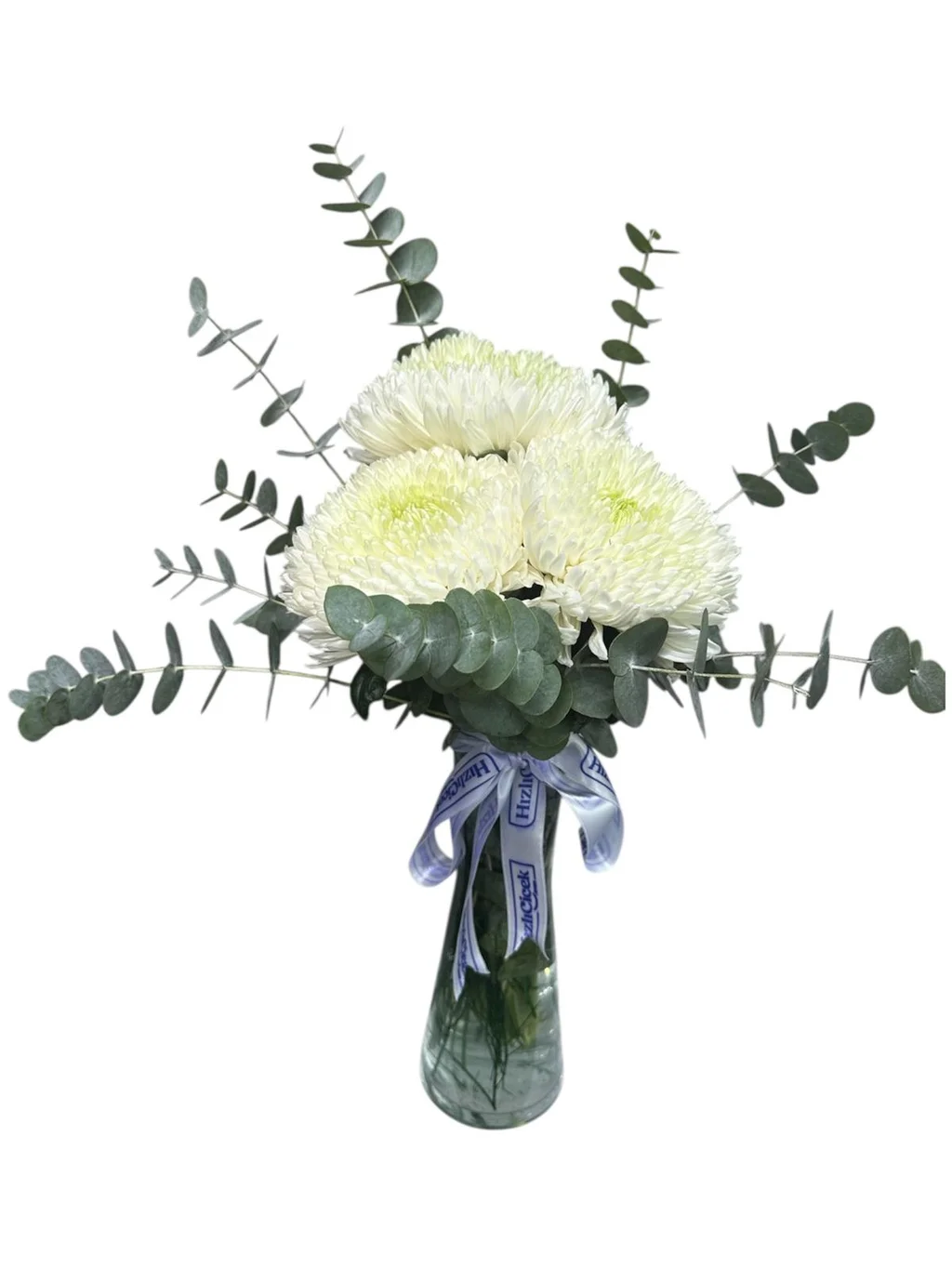 Vazoda Beyaz Kasımpatılar