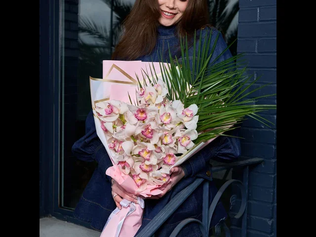 Cymbidium Dream - 3