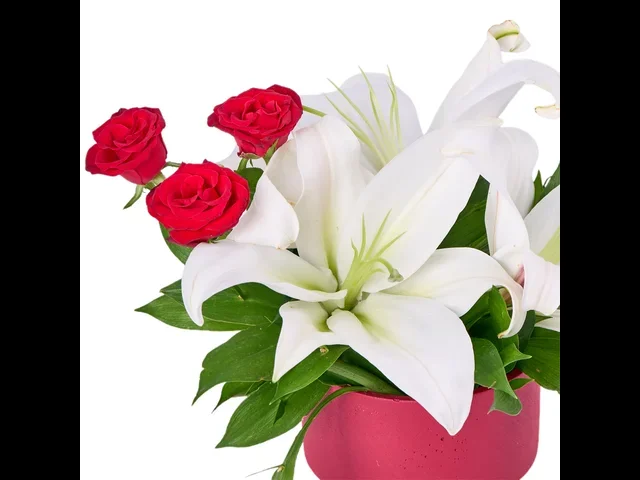 Scarlet Whisper - 2