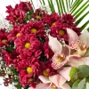 Velvet Daisy - 3