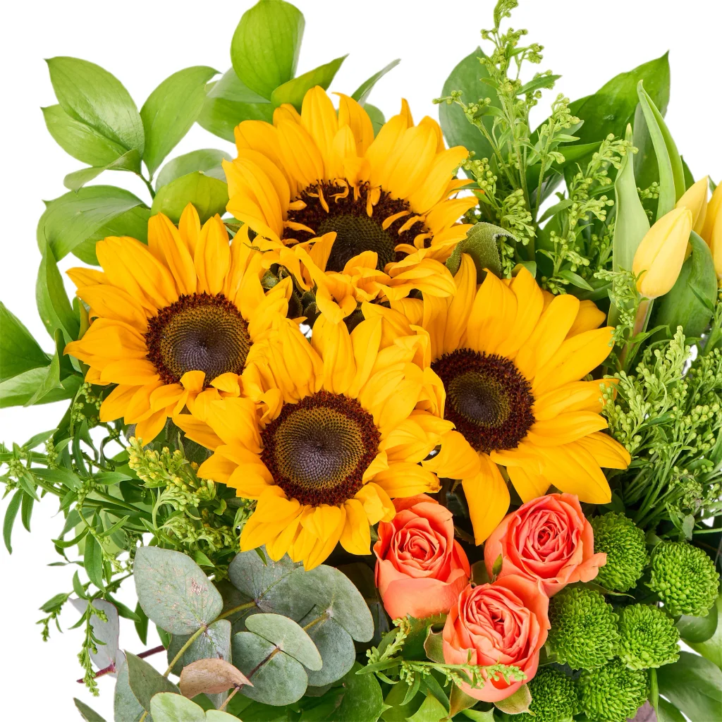 My Sunflower Ayçiçekleri - 5