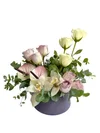 Soft Affair - 2