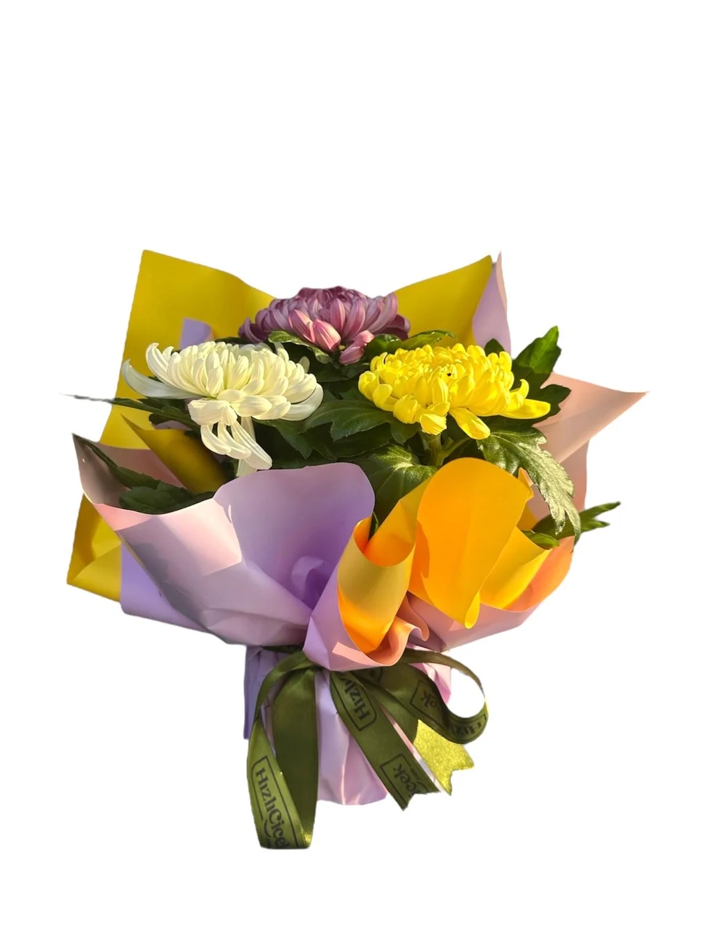 Saksıda Rengarenk Kasımpatı