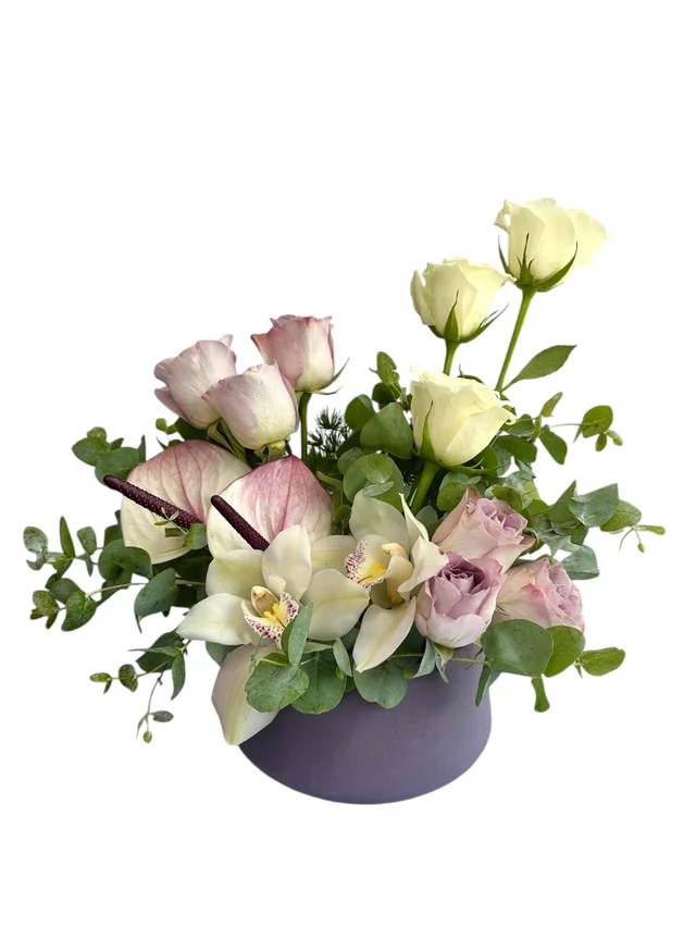 Soft Affair - 2